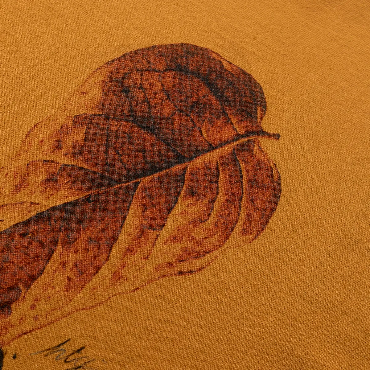 LEAF T-SHIRT MUSTARD | Bodega