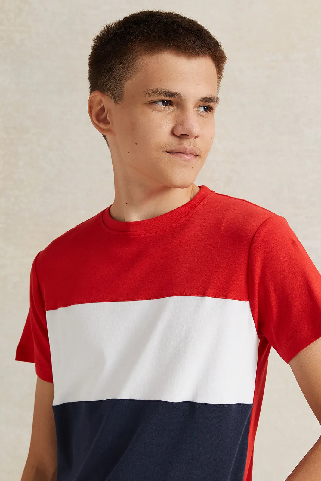Senior Boys Multicolour T-Shirt